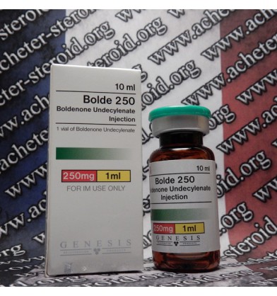 Bolde - 250 Genesis