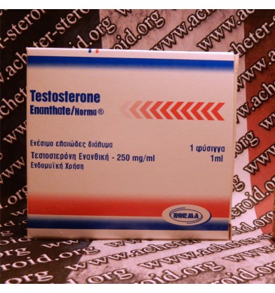 Testosterone Enanthate Norma Hellas